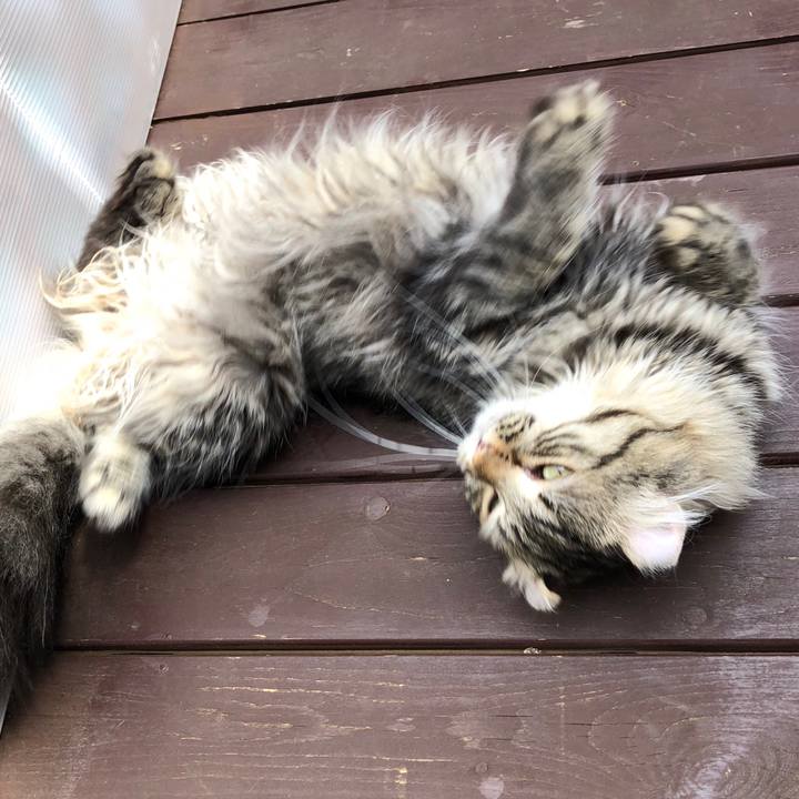 D4e7d787 c642 4fa9 8e30 d046e2f5386c 1558772839211