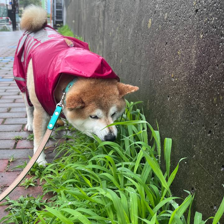 D4e7e027 42c7 4987 9393 d979651cb246 1719545739350