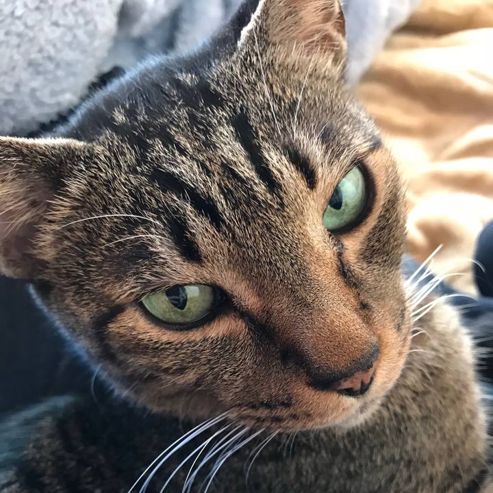 D4e7fe16 94d0 4a3c 9c9c 1fe3c05a097b 1515026904567