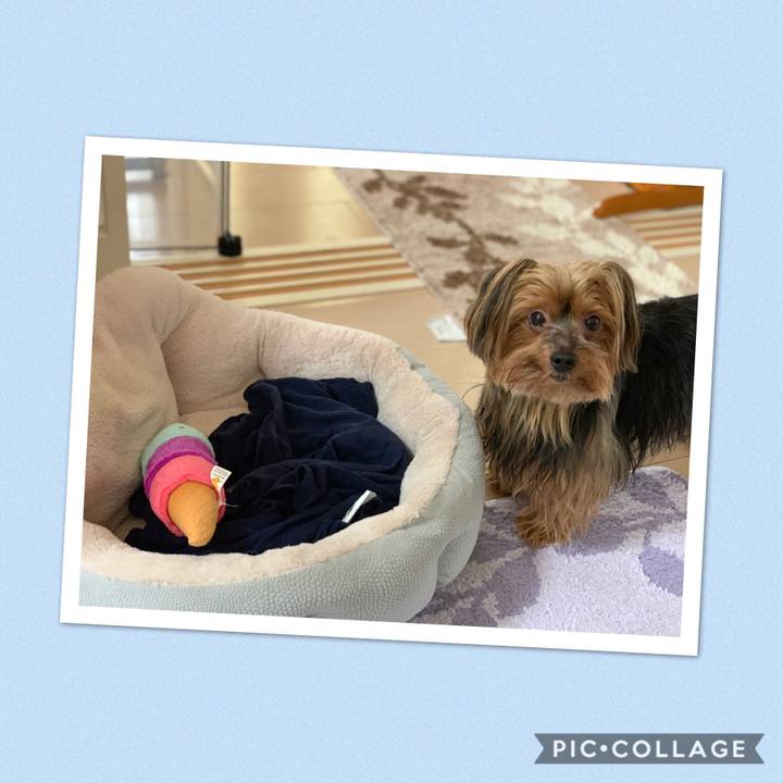 D4e80225 5844 4a6f b4d8 962996535dba 1539428573752