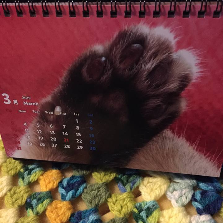 D4e80531 3a0b 4557 902e 3a7b85263cd1 1551392201239