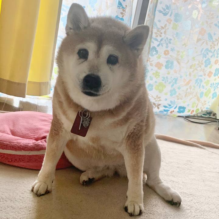 D4e80a12 0161 4c5a a149 7e5e1a1434b5 1601778660025