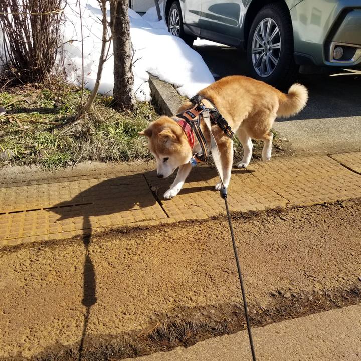 D4e80a36 8609 4bcf 8544 c75eb23ef355 1771129944005