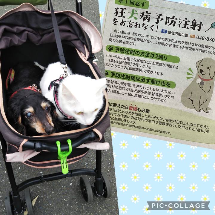 D4e810c6 63fe 48cb 9d91 982efc5e17d9 1680225765671