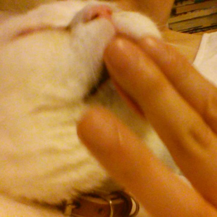 D4e843f3 86f1 4bcc b131 2987b6a4d11c 1524225670506