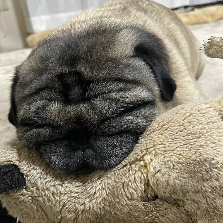 D4e84937 a716 4d86 bc6b 129e4e0653b3 1613214545628