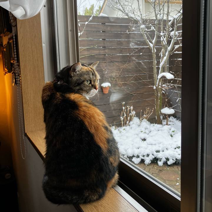 D4e85335 9d22 4690 9e7b 5c5799340415 1770526889153