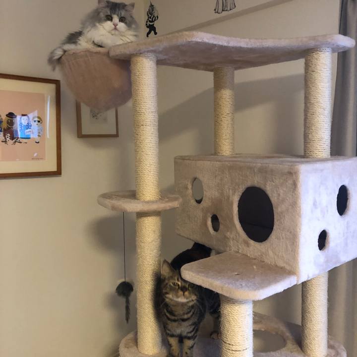 D4e881d5 d059 435d ac50 b05584bee0a1 1622728960346