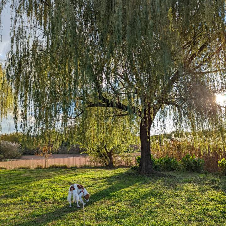 D4e88824 22c3 49b3 a6e7 c063b32d2eb0 1636877562686