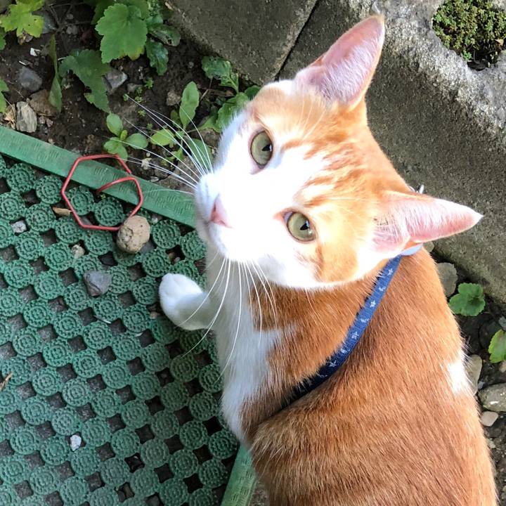 D4e88a75 660f 4bd2 8246 32953c724a36 1538966199578