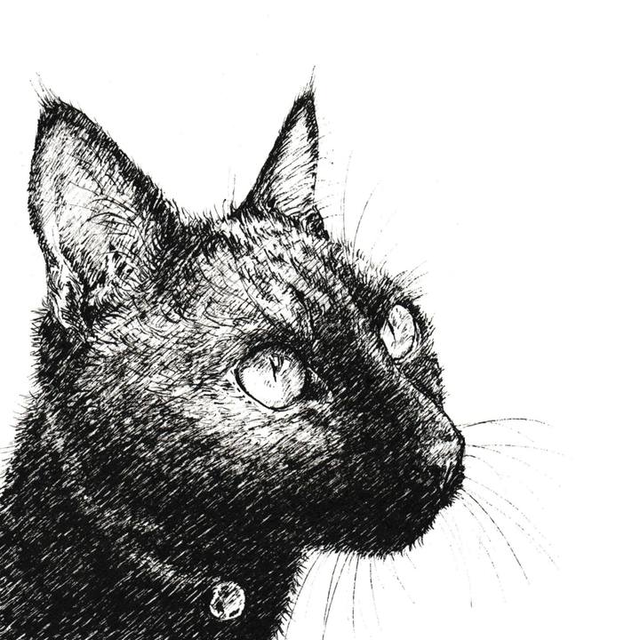 D4e8cd8f cbd4 4f3f 8eb8 dc7b82dabbf7 1614436324587