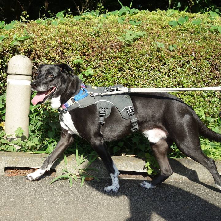 D4e8d2f0 8de4 49dd bcc4 cde05204e6c6 1656458955390