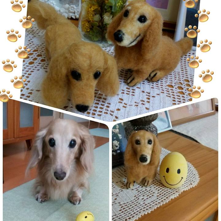 D4e8fdbb 9238 4132 a4a6 01aa170dc089 1591704364184