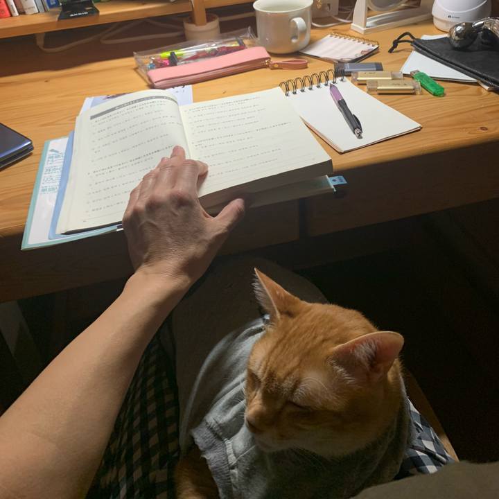 D4e90ee3 6750 41ec a62f c3011d7a8648 1642192588299