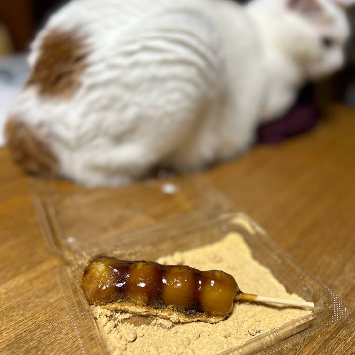 D4e91e81 b44f 4feb a876 7b5ec7e757e5 1690901723545