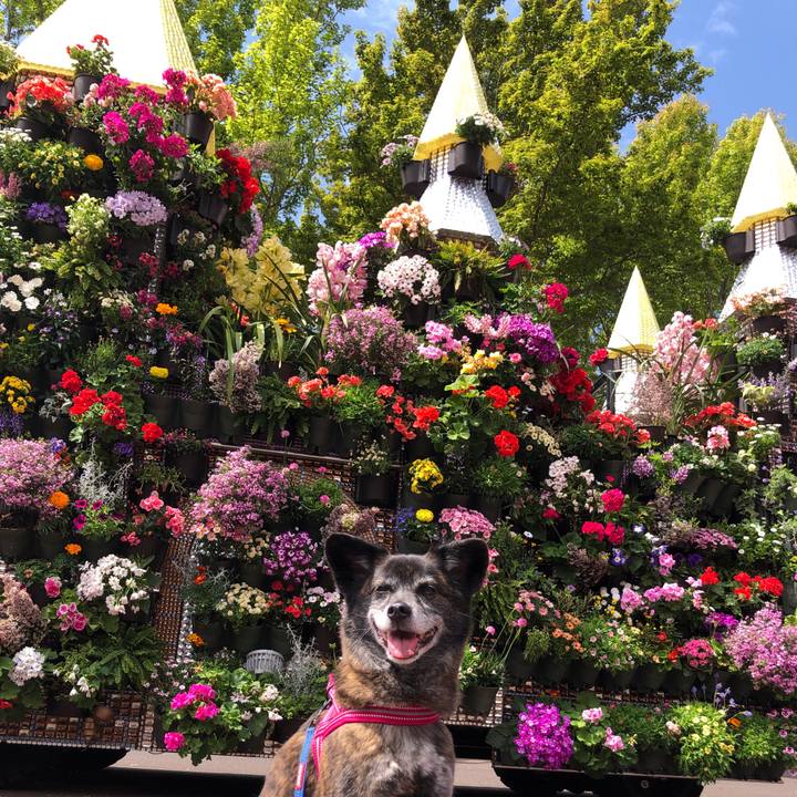 D4e91f49 b496 4ee2 bfe9 96cb3a693036 1649976100505