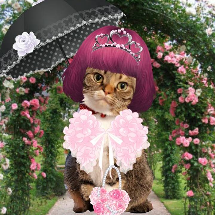 D4e9422e 5c1d 4f86 9ac4 bb99b96f2d68 1545260536331