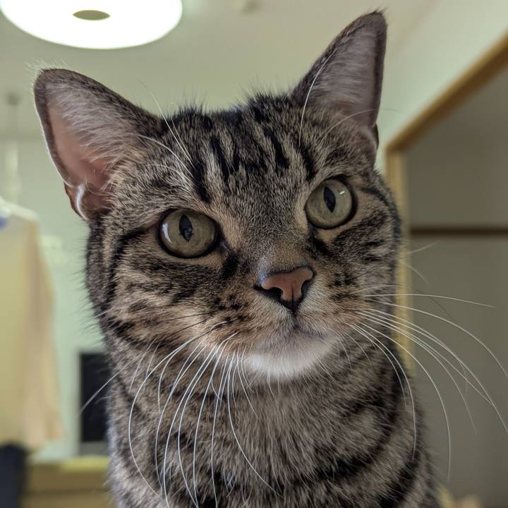 D4e95b13 9574 4ab4 99b6 efe1413976f7 1747468896576