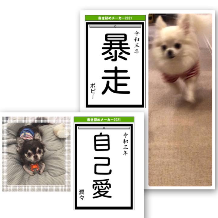 D4e97041 8162 4452 92f3 cf1092b70af8 1610111847713