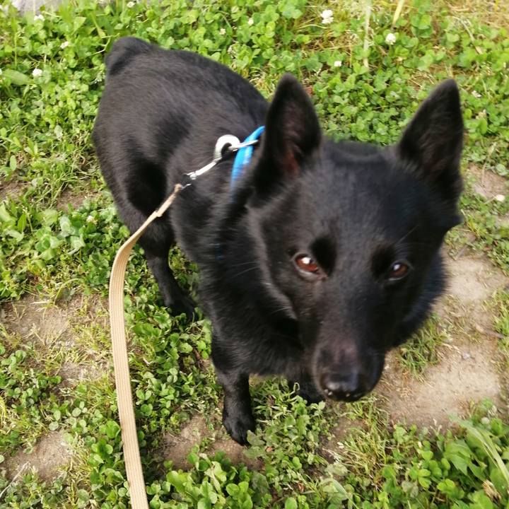 D4e98894 c567 42f3 a4e2 18ab1f967478 1620688346271