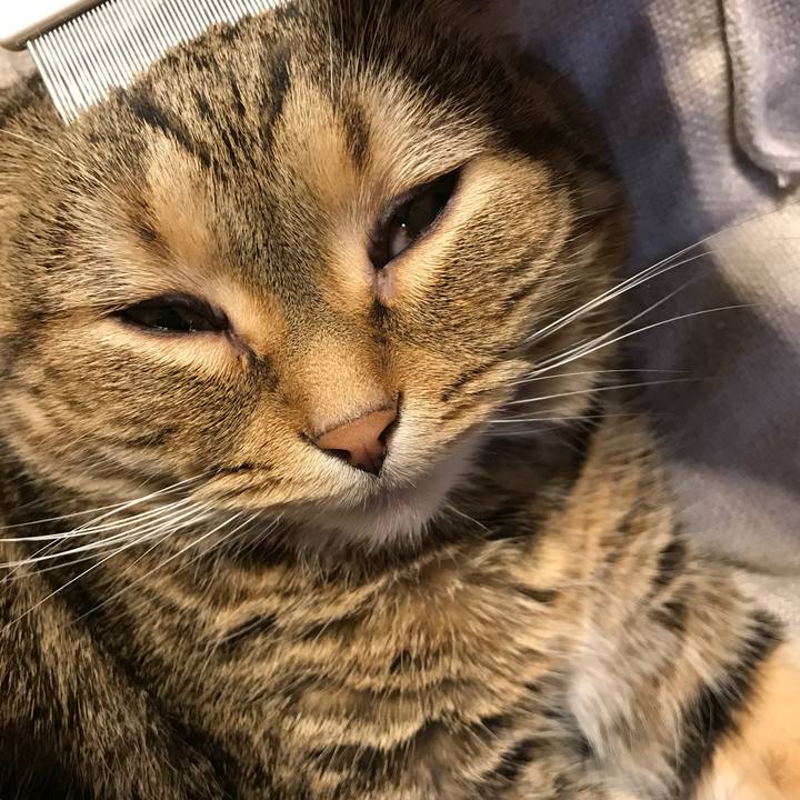 D4e9a07f 2d7d 4769 b400 5f9470205a4c 1521985280787