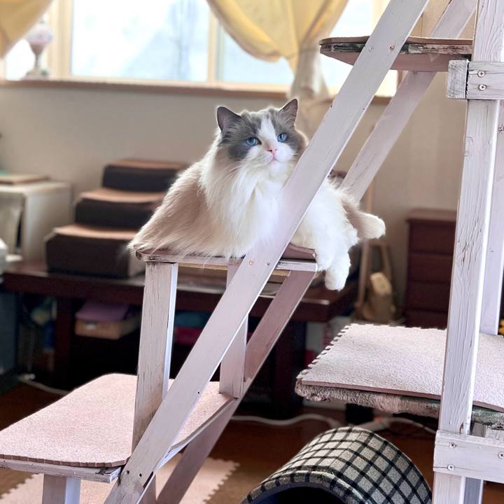 D4e9b32a 0829 414c 80d6 39e5f7dcc514 1714784132814