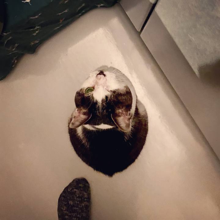 D4e9cd48 6f8d 43f9 b08b 6eee35c72680 1585737871483