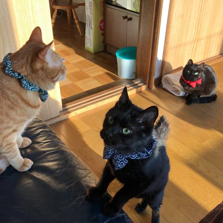 D4e9d556 cebb 46df 9b14 70c3629c697f 1554155602329