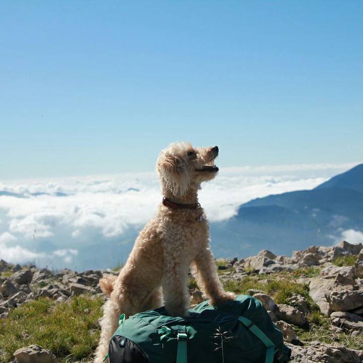 D4e9dd25 f43c 4e2b af5d ad7650a40852 1594132360338