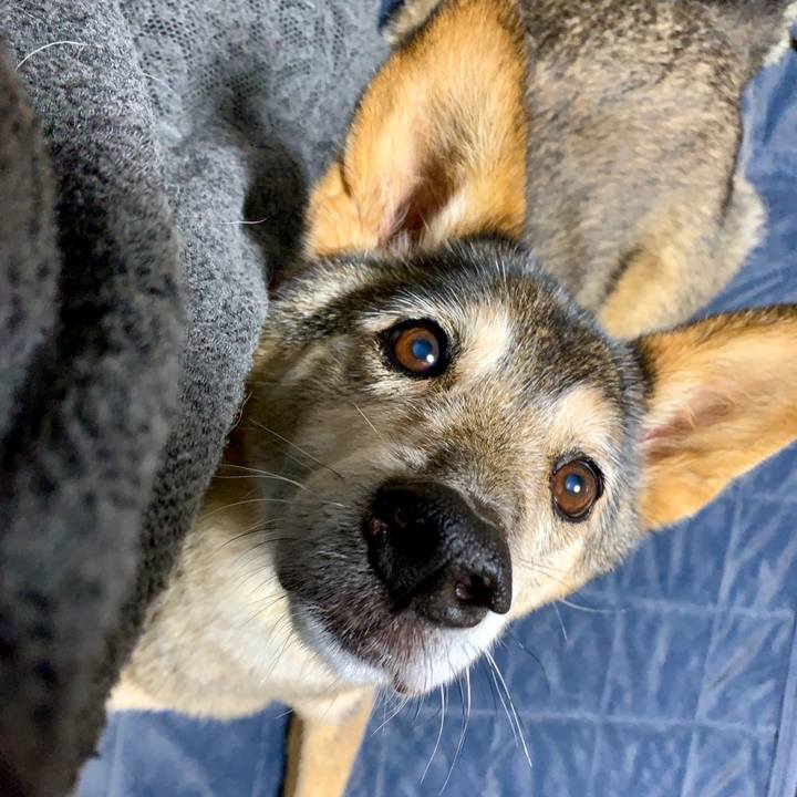 D4ea2d91 ce21 40c3 9e09 8ea3cf93a23e 1562934341320