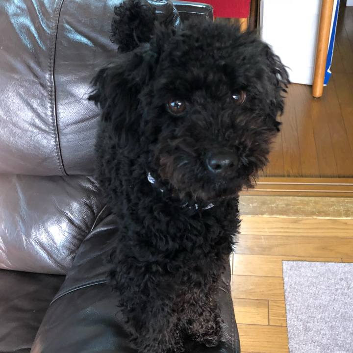 D4ea380d ae32 4469 92fb dcab8639a8b9 1520035075934