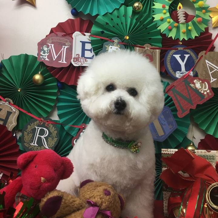 D4ea59d1 e85b 4a80 b64e 2d397e693786 1513395806700