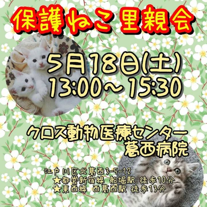 D4ea96f0 c0a6 49a5 8982 5d26347bde20 1557133173779
