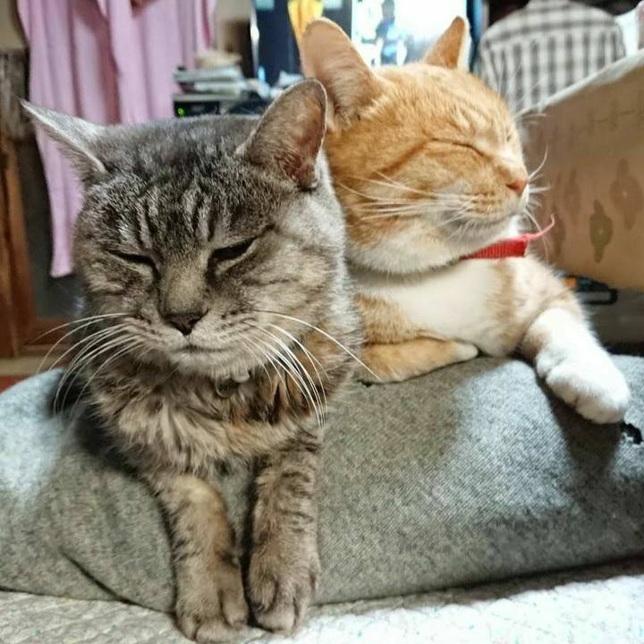 D4ea9e98 7e4c 4b07 a789 527129a4386b 1575708746660