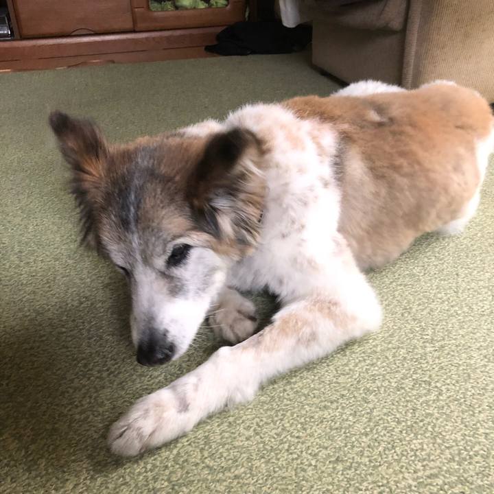 D4eaedd6 dd75 4fcc b096 4fc24d66acd6 1525228277437