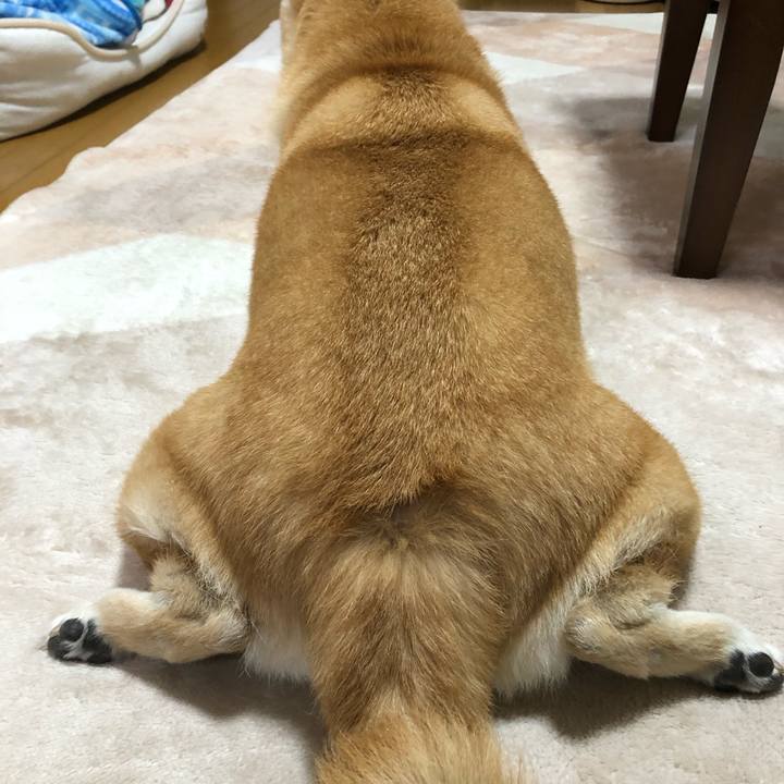 D4eafc35 9704 44d9 b721 b0afee09f2b3 1579659682640