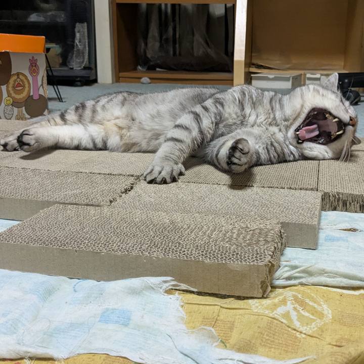 D4eb4a6d d0c4 436f b3c7 d3f067d06dbc 1753274284831