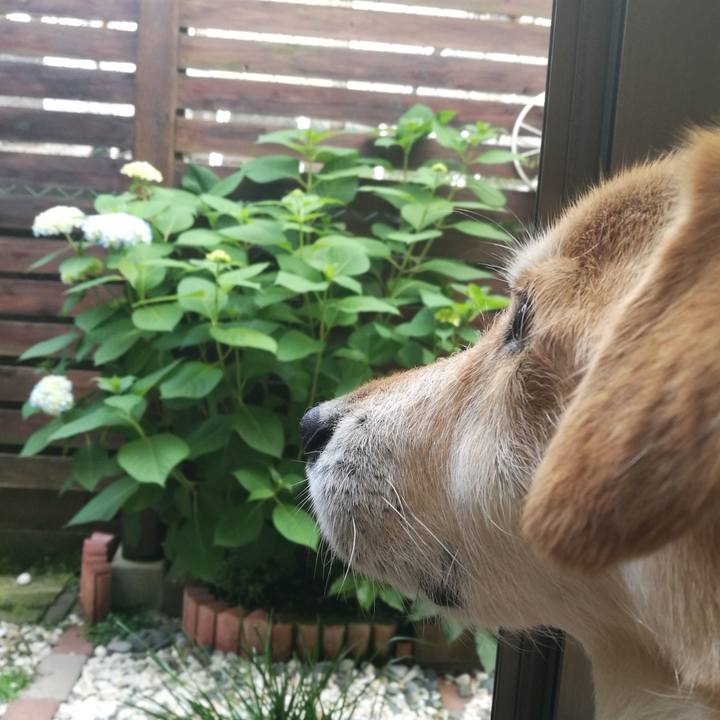 D4eb602a 9e74 4d7a b670 960854d0f7b8 1526458226537