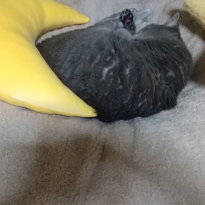 D4eb7f5c 12bc 4bc5 9737 9051ae5fb43d 1644446294184