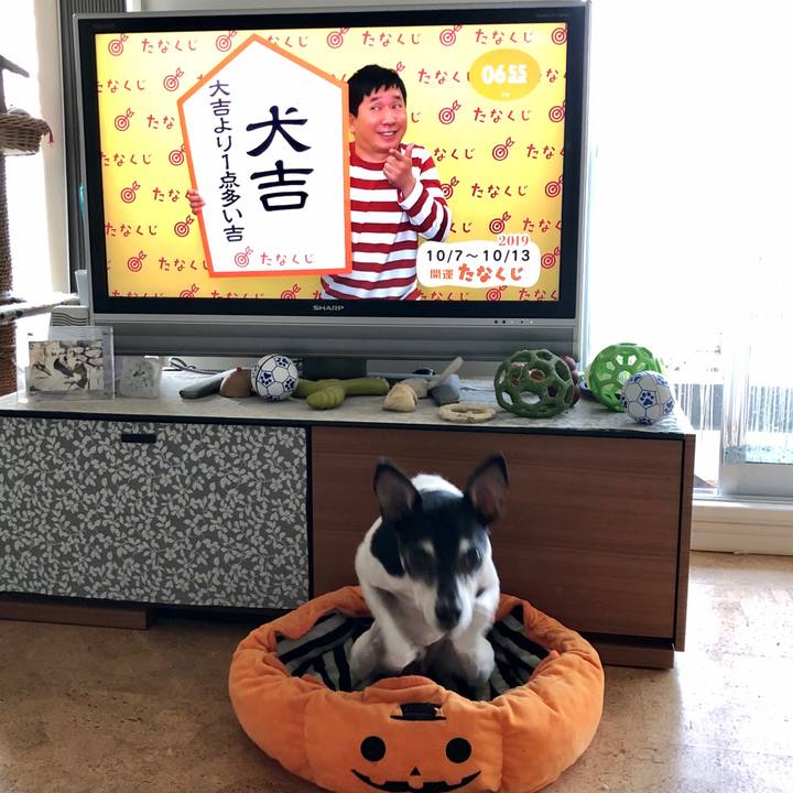 D4eb98cf 7e76 409d 8344 bbddb92448d4 1570399956185