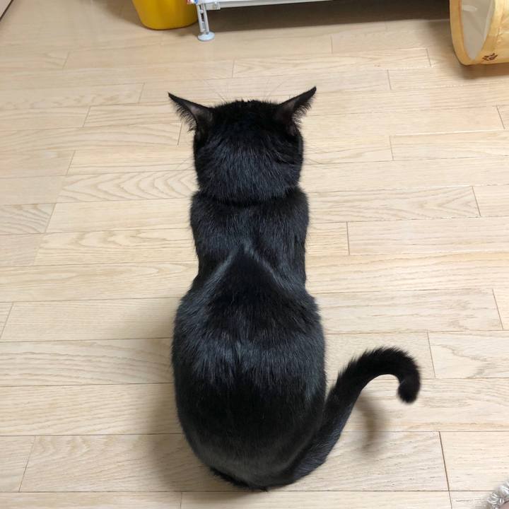 D4ebe61f eae4 4459 b776 a9091942dca0 1585918104505