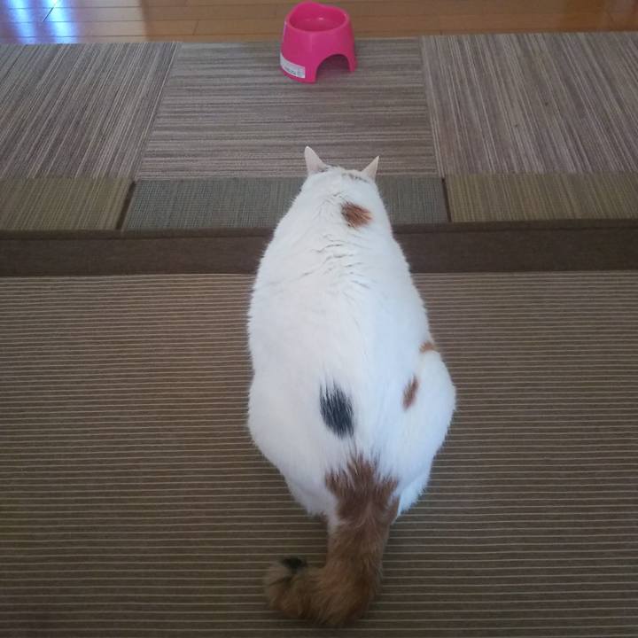 D4ebf96b 672f 4ade a9fa 653f471578fa 1568501122297