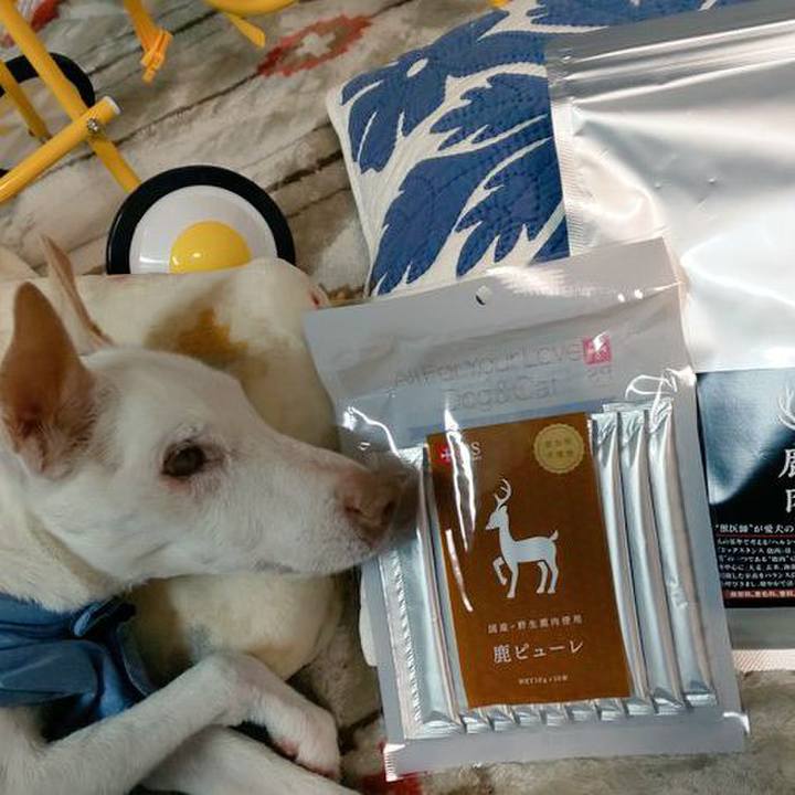 D4ec02f8 0875 44d4 b7d5 50438f75a6c7 1606305367203