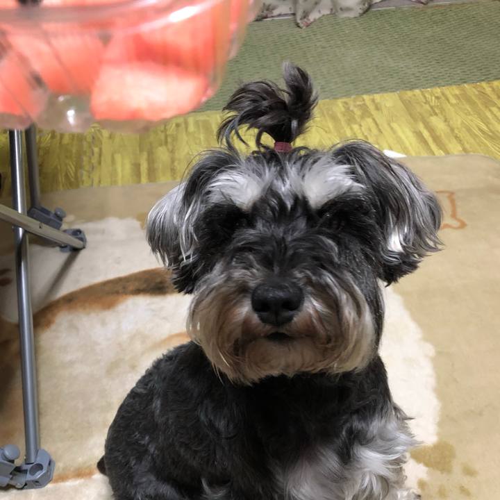 D4ec9a94 012b 4f9a b964 c3dbc1a14e9f 1560343369982