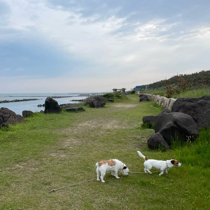 D4ecac65 6beb 4d28 9d46 c38fa0913cb2 1653089139885