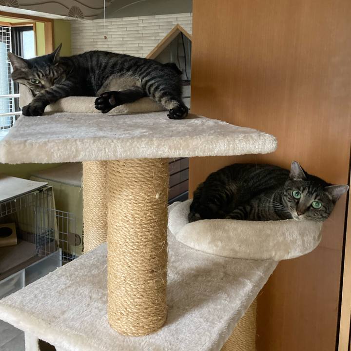 D4ecd733 edca 48ad 8b42 cc9dda25e3c8 1690854763130