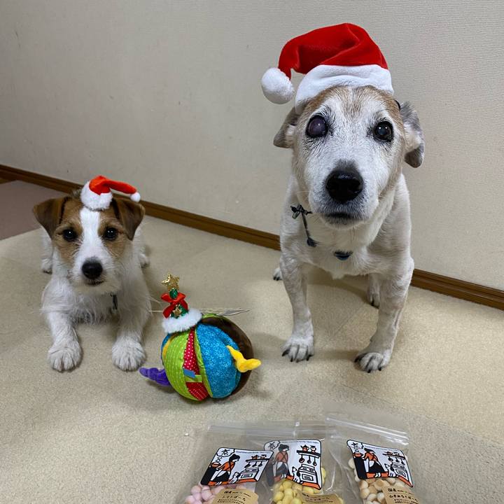 D4ed13c9 608b 4100 92b9 d8718a6376d2 1671968392398