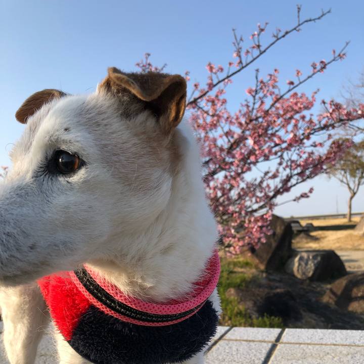 D4ed1419 5a3b 4e53 b300 90c09b9b8519 1647077889081