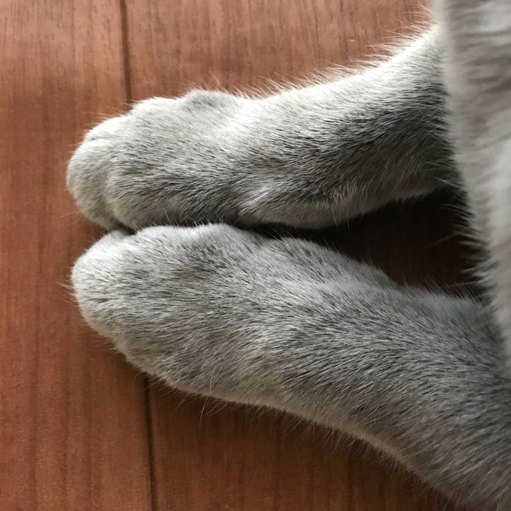 D4ed1f22 a343 42cd 86f7 3411a2959704 1518532426632