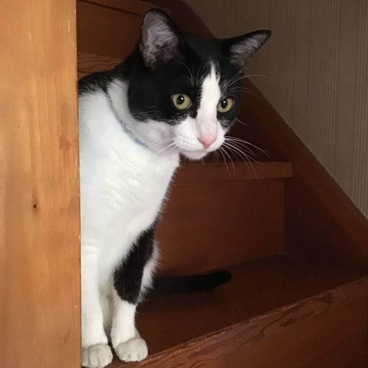 D4ed666b 0661 4113 967c 0af0b72fcbee 1687868842818